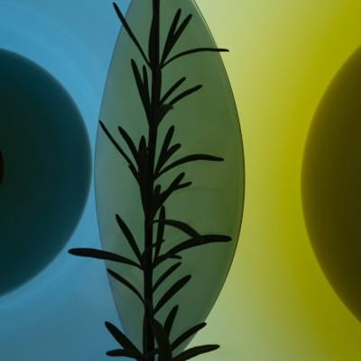 Transparences éphémères - Romarin 6 carré.jpg